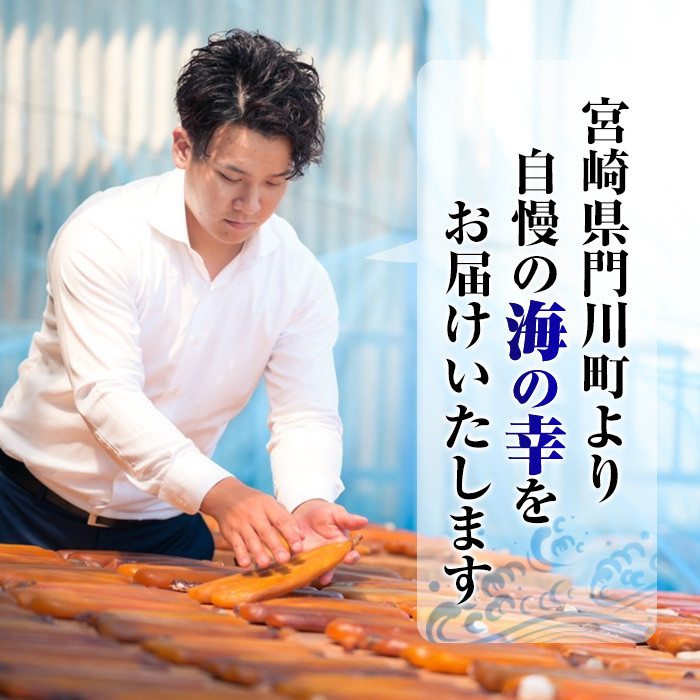 かあちゃんの味 味付すりみ(計900g・300g×3個) アジ あじ 太刀魚 イカ 鍋 煮物 揚げ物 手作り DHA EPA すり身 宮崎県 門川町【AW-42】【丸正水産】