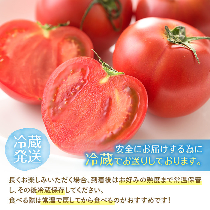 ひなたのとまと(1.1kg)トマト フルーツトマト 糖度 9度 以上 野菜 旬野菜 冷蔵 国産 宮崎県産【A-4】【新門トマト農園】