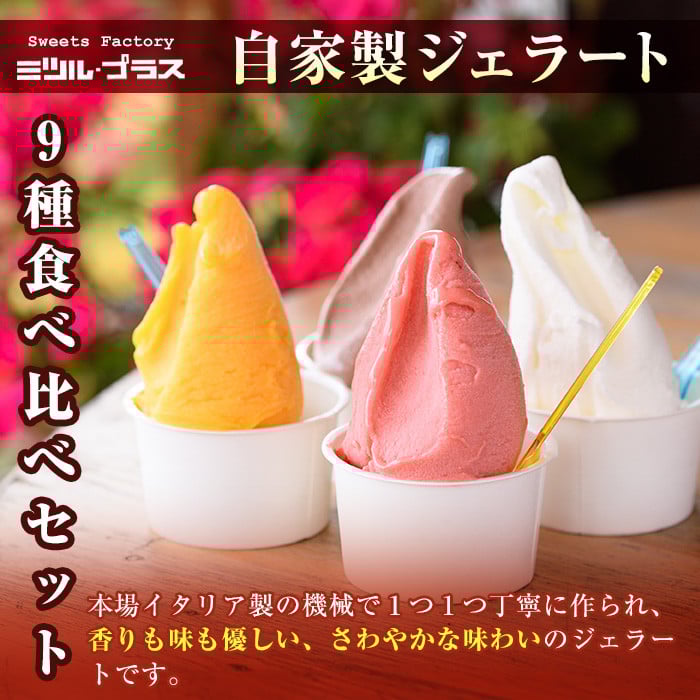 ãI-2ãïŒå
è¡äºçŽåä»äžïŒ2026幎2æããé æ¬¡çºéäºå®ïŒèªå®¶è£œãã ãã補æ³ïŒèªå®¶è£œãžã§ã©ãŒã(9å)ãããã«ã»ãã©ã¹ã