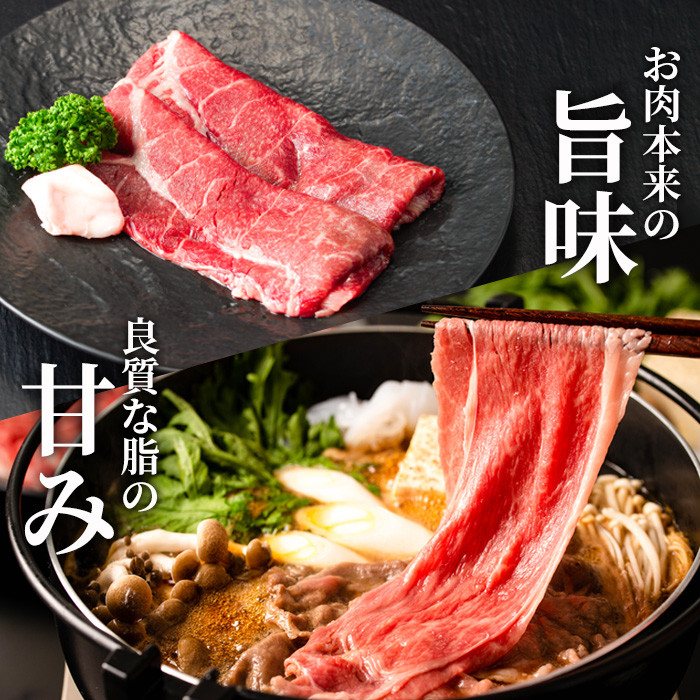 宮崎牛 こま肉 ミンチ セット(計1kg・こま肉400g、ミンチ600g)牛肉 お肉 こま切れ ひき肉 黒毛和牛 ブランド和牛 詰め合わせ 詰合せ 国産 冷凍【MF-9】【エムファーム】