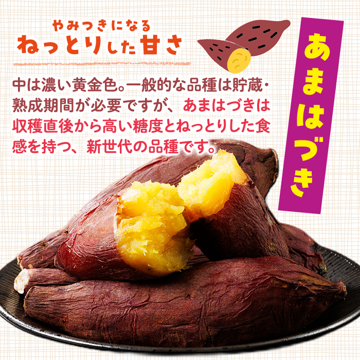 ＜先行予約受付中！2026年10月から順次発送予定＞おやつ芋 あまはづき 冷凍 焼き芋(計12個・3個入り×4袋) 焼芋 やきいも さつまいも さつま芋 レンジ あまはづき 小分け おやつ 【YO-25】【株式会社陽】