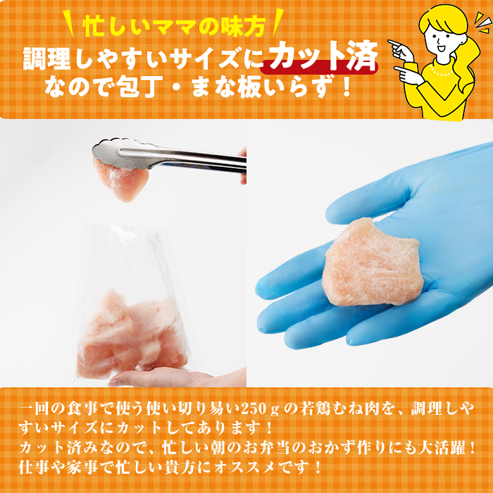 ＜先行予約受付中！2026年4月中に発送予定＞鶏肉 むね肉 小分け 個別凍結(計3kg 250g×12P) お肉 鳥肉 とり肉 鶏肉 若鶏 むね肉 国産 宮崎県産 唐揚げ から揚げ からあげ 冷凍 便利 【NK-20】【南九フーズ】