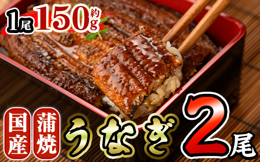 国産 うなぎ 蒲焼 (約150g×2尾) 鰻 タレ かば焼き うな重 うな丼 ひつまぶし 小分け 真空包装 真空パック 【AW-92】【丸正水産】