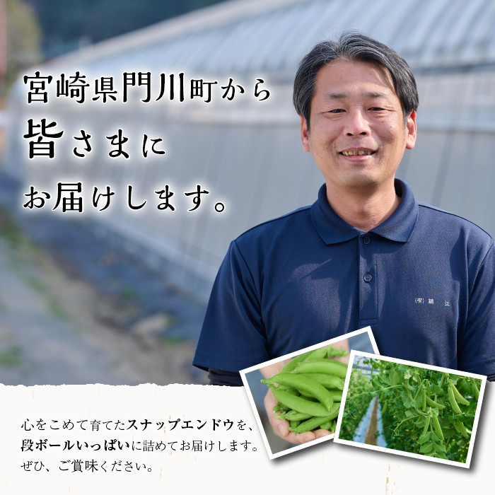 ïŒå
è¡äºçŽåä»äžïŒ2026幎2æäžæ¬ïœ4æäžæ¬ã®éã«çºéäºå®ïŒæééå®ïŒã¹ããããšã³ããŠ(çŽ2kg)éè ããã æ¬ æ°é®® ãµã©ã ããè± ããã©ãè± å®®åŽçç£ãGF-1ããã°ãŒãã¡ãŒã ã