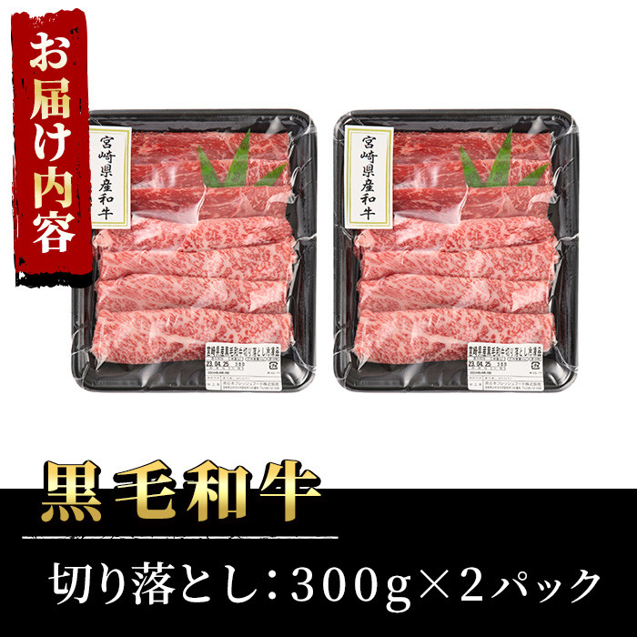 宮崎県産黒毛和牛切り落とし(計600g・300g×2P)牛肉 精肉 お肉 モモ 肩 カタ バラ ミックス 小分け すき焼き しゃぶしゃぶ 牛丼 肉じゃが 国産 冷凍【P-20】【南日本フレッシュフード株式会社(日本ハムマーケティング株式会社)】