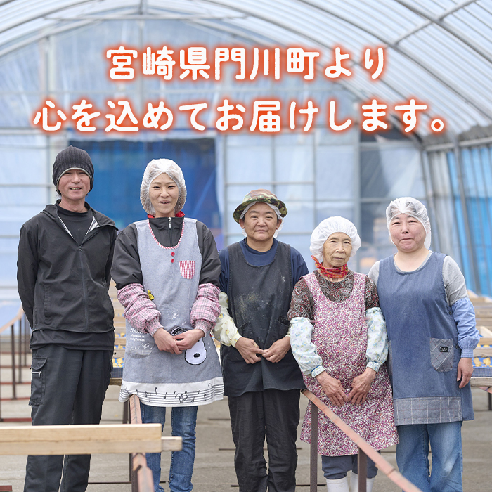 ＜先行予約受付中！2026年10月から順次発送予定＞冷凍焼き芋(あまはづき)(計2kg・500g×4袋)冷凍 焼芋 焼き芋 やきいも さつまいも さつま芋 レンジ小分け おやつ 宮崎県 門川町【YO-22】【株式会社 陽】