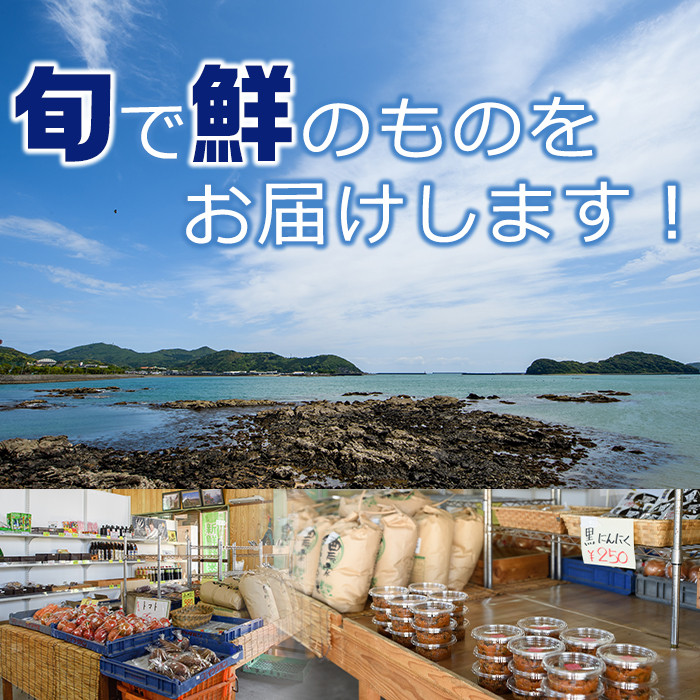 懐かしい味の油みそ3種類セット(合計約2kg・油みそ×5、ピリ辛×5、ちりめん×6)味噌 おつまみ ご飯のお供 調味料 食べ比べ 国産【G-1】【旬鮮かどがわ直売センター】