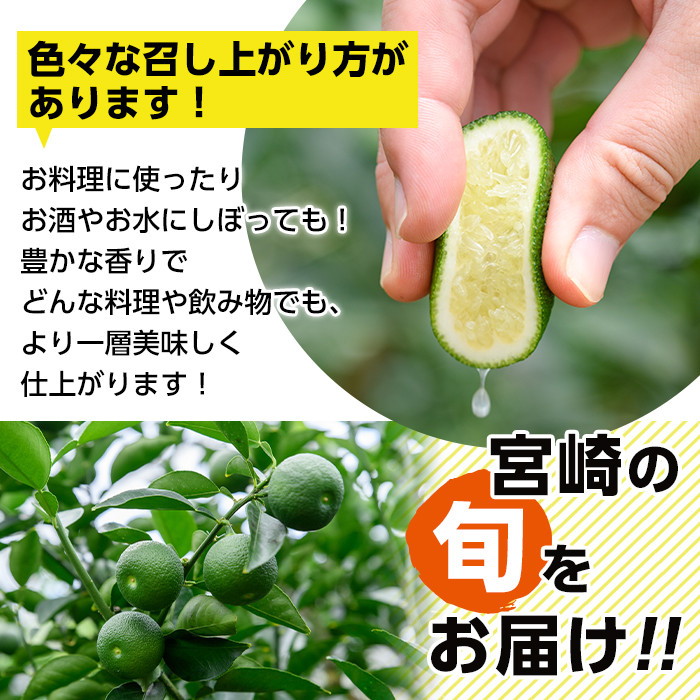＜先行予約受付中！2026年6～7月の間に発送予定＞期間限定！門川町産へべす(1kg)柑橘 果汁 国産 特産品 宮崎県 門川町【AM-1】【川崎農園】