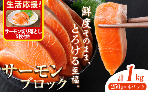 生活応援 サーモン切り落とし5枚付き！生食用 サーモン ブロック(計1kg・250g×4P) 鮭 小分け 真空 パック 冷凍 刺身 シャケ サケ 魚 魚介 【AW-100】【丸正水産】