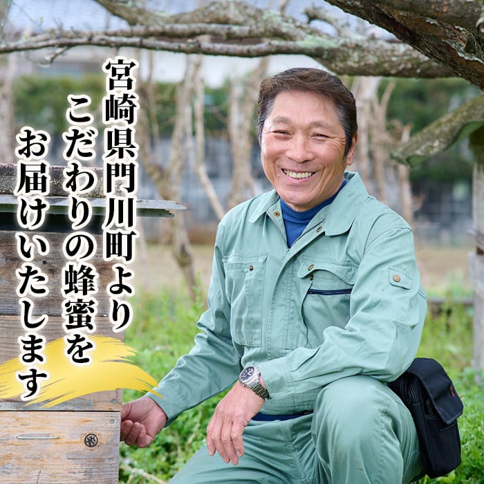 ＜数量限定＞幻の蜂蜜（1本・260g） ハチミツ 蜂蜜 日本蜜蜂 ハニー 国産 日本ミツバチ 非加熱 純粋 【YH-1】【安田蜂蜜】