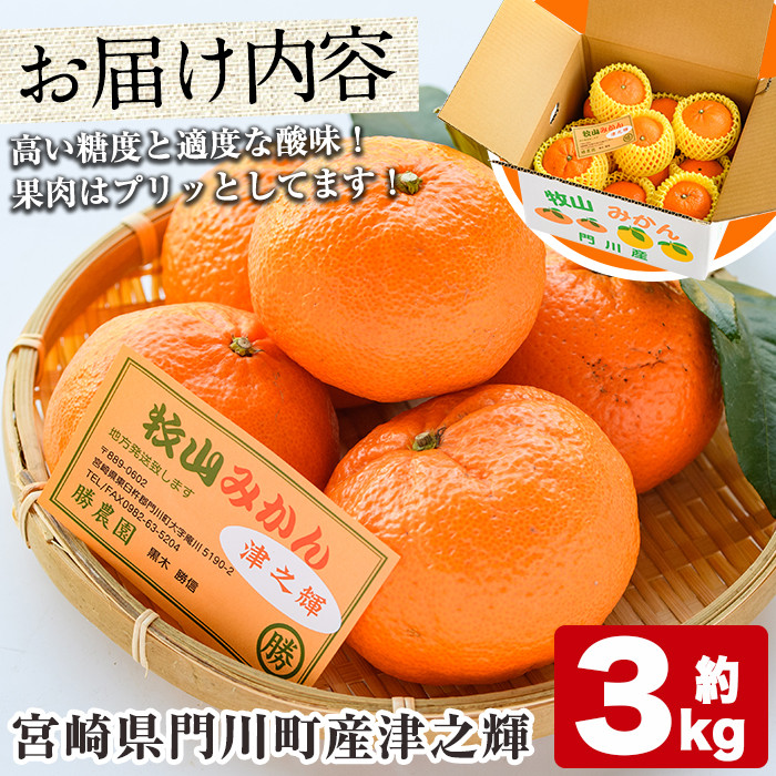 宮崎県門川町産津之輝(約3kg) みかん ミカン 蜜柑 柑橘 果物 くだもの フルーツ 冷蔵 宮崎県 門川町 【AE-14】【勝農園】