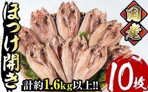 国産ほっけ開き(10枚・計1.6kg以上)干物 セット 魚 魚介類 簡単 調理 冷凍【E-17】【水永水産】