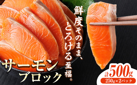 生食用 サーモン ブロック(計500g・250g×2P) 鮭 小分け 真空 パック 冷凍 刺身 シャケ サケ 魚 魚介 【AW-98】【丸正水産】