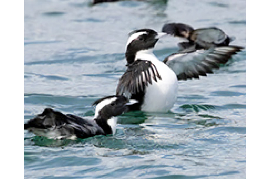 環境保全支援メニュー