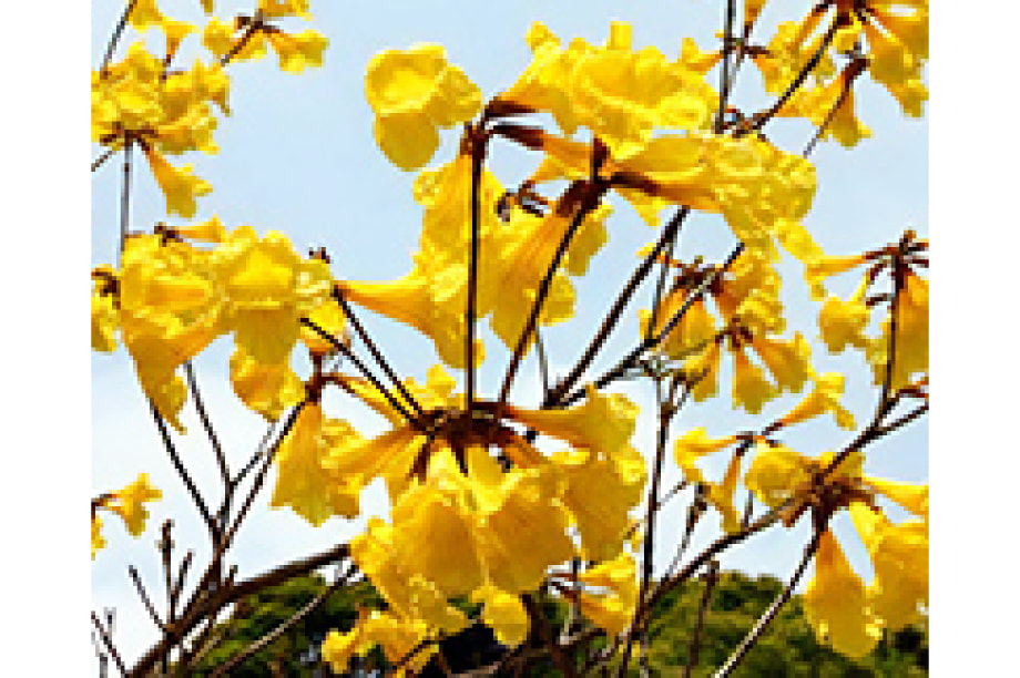 福祉支援メニュー