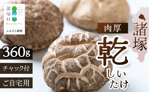【世界初CoC認証取得！】宮崎県諸塚村産 乾しいたけ 肉厚 60g×6P 計360g 常温｜干ししいたけ どんこ 椎茸 肉厚 お煮しめ お鍋 網焼き 原木栽培 家庭用 もろっこはうす MO-23