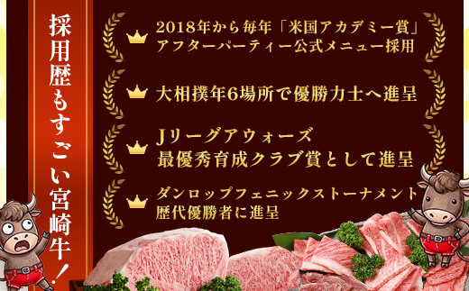 宮崎牛 赤身モモウデ切り落とし セット 計800g（約400g×2P）冷凍｜国産 牛肉 お肉 赤身 モモ ウデ 切り落とし スライス ブランド牛 高級 株式会社エムファーム 宮崎県 諸塚村 MF-06