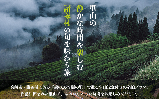 ãæ£®ã®æ°å®¿ æš¹ã®é 宿æ³åžïŒ17,600ååïŒãéå±±ã®æ¬ãå³ããæ
in è«žå¡æ 1åæ§ãã©ã³ 1æ³2é£ä»ãïœå®¿æ³å©çšåž æ
è¡åž åœå
æ
è¡ èªç¶äœéš ç»å±± é·åæç 芳å
芳å
å°å¿æŽ ç§å¢ ããŸãã å®®åŽç è«žå¡æ KS-03
