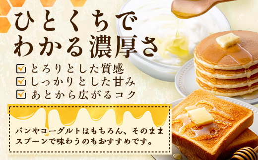 はちみつ 山の蜜 600g×1本 冷蔵｜国産 蜂蜜 百花蜜 ニホンミツバチ 希少 自然養蜂 瓶 もろっこはうす 宮崎県 諸塚村 MO-03