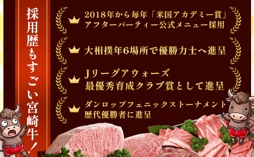 宮崎牛 モモサイコロステーキ 計400g（約200g×2P）冷凍｜国産 牛肉 お肉 モモ肉 サイコロステーキ ステーキ ブロック ブランド牛 高級 株式会社エムファーム 宮崎県 諸塚村 MF-11