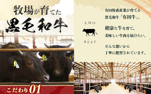 宮崎県産 黒毛和牛 万能切り落とし（約400g×1P）ハンバーグ（150g×3個）セット 冷凍|国産牛 牛肉 お肉 切り落とし スライス パック ハンバーグ 焼くだけ 個包装 有田牧畜産業 宮崎県 諸塚村 AR-05