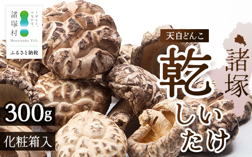 宮崎県諸塚村産 天白どんこ 約300g 化粧箱入り 常温｜干ししいたけ 椎茸 肉厚 お煮しめ お鍋 網焼き 原木栽培 CoC認証 高級 希少 もろっこはうす MO-28
