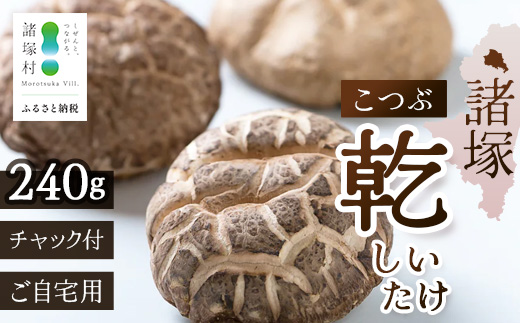 【世界初CoC認証取得！】宮崎県諸塚村産 乾しいたけ こつぶ 40g×6P 計240g 常温｜干ししいたけ どんこ 椎茸 酢漬け 手まり寿司 天ぷら 一口サイズ 原木栽培 家庭用 もろっこはうす MO-25