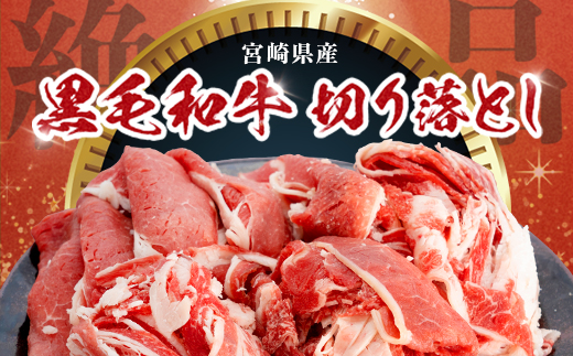 宮崎県産 黒毛和牛 万能切り落とし（約400g×1P）ハンバーグ（150g×3個）セット 冷凍|国産牛 牛肉 お肉 切り落とし スライス パック ハンバーグ 焼くだけ 個包装 有田牧畜産業 宮崎県 諸塚村 AR-05