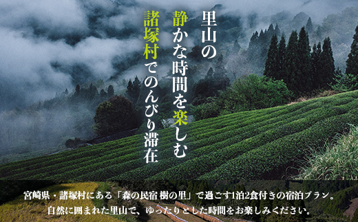 縲先」ョ縺ョ豌大ョソ 讓ケ縺ョ驥 螳ソ豕雁虻シ36,300蜀蛻シ峨鷹悟アア縺ァ縺ョ繧薙ウ繧頑サ槫惠 in 隲ク蝪壽搗 1蜷肴ァ倥励Λ繝ウ シシ2豕5鬟溘サ菴馴ィ薙サ縺雁悄逕」莉倥″シ擾ス懷ョソ豕雁茜逕ィ蛻ク 譌陦悟虻 蝗ス蜀譌陦 閾ェ辟カ菴馴ィ 逋サ螻ア 驛キ蝨滓侭逅 隕ウ蜈 隕ウ蜈牙慍蠢懈抄 遘伜「 繧縺セ縺九i 螳ョ蟠守恁 隲ク蝪壽搗 KS-05