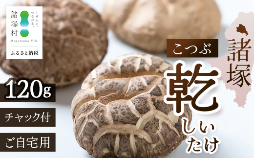 【世界初CoC認証取得！】宮崎県諸塚村産 乾しいたけ こつぶ 40g×3P 計120g 常温｜干ししいたけ どんこ 椎茸 一口サイズ 酢漬け 手まり寿司 天ぷら 原木栽培 家庭用 もろっこはうす MO-24