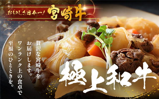 宮崎牛 バラ切り落とし 計1.2kg（約200g×6P）冷凍｜国産 牛肉 お肉 バラ肉 切り落とし スライス ブランド牛 高級 株式会社エムファーム 宮崎県 諸塚村 MF-05