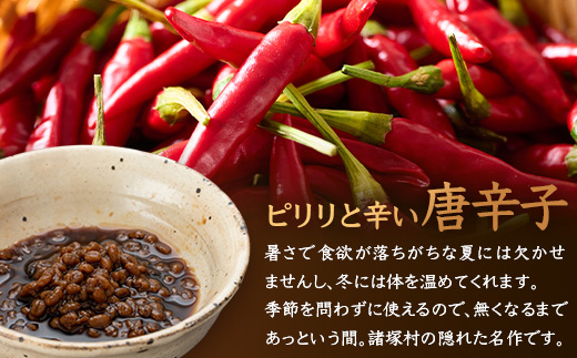 和風調味料 唐辛子もろみ 130g×3本 常温｜唐辛子 トウガラシ 麦麹 麹 醤油 調味料 瓶 瓶詰め こしょう ご飯のお供 冷奴 そうめん ディップ アレンジ もろっこはうす 宮崎県 諸塚村 MO-49