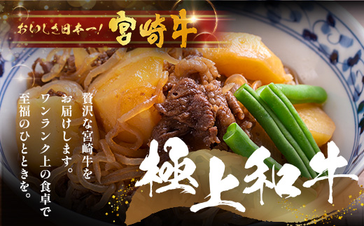 宮崎牛 赤身モモウデ切り落とし セット 計800g（約400g×2P）冷凍｜国産 牛肉 お肉 赤身 モモ ウデ 切り落とし スライス ブランド牛 高級 株式会社エムファーム 宮崎県 諸塚村 MF-06