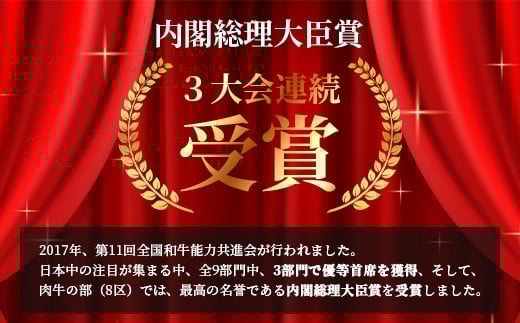受賞歴多数!! 宮崎牛 ウデ焼肉「400g」＆宮崎県産黒毛和牛小間切れ「100g」【合計500g】[宮崎県 椎葉村 椎葉 日本三大秘境 秘境 牛肉 牛 和牛 肉 うし お肉 焼肉 ウデ肉 小間切れ 小間切れ肉 牛小間切れ うまい 美味しい おすすめ おかず 多用途 ギフト]【MT-61】