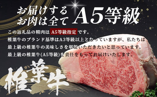 宮崎県産 椎葉牛 切り落とし 2kg A5等級指定［ 宮崎県 椎葉村 国産 国産牛 黒毛和牛 和牛 牛 牛肉 赤身 にく おにく 肉 お肉 a5 A5 すきやき すき焼き カレー シチュー 炒め物 冷凍 ごちそう 贈物 日本三大秘境］【TK-30】