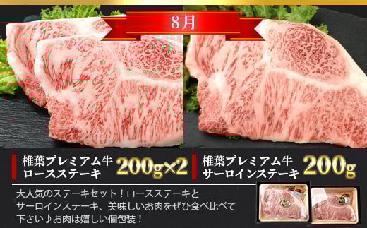 【定期便3回】総重量1.8kg 椎葉プレミアム牛 大自然の中で味わうBBQ定期便≪焼き肉・ステーキ≫［宮崎県 椎葉村 国産 国産牛 黒毛和牛 和牛 牛 牛肉 赤身 にく おにく 肉 お肉 サーロイン ステーキ バーベキュー やきにく 焼肉 冷凍 ごちそう 贈物 日本三大秘境］【TK-60】