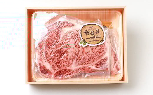 【定期便2回】総重量1kg 椎葉牛 ローストビーフとステーキの定期便 A5等級指定 ［宮崎県 椎葉村 国産 国産牛 黒毛和牛 和牛 牛 牛肉 赤身 にく おにく 肉 お肉 a5 A5 ステーキ サーロイン ローストビーフ ブロック肉 やきにく 焼肉 冷凍 ごちそう 贈物 日本三大秘境］【TK-64】