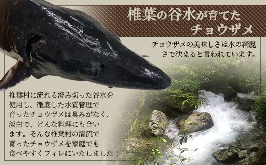キャビアフィッシュフィレ 1尾【800g〜1.2Kg】［宮崎 椎葉 国産 ちょうざめ チョウザメ きゃびあ キャビア クリーミー お酒 魚介 珍味 加工品 冷凍 高級 贅沢 食べ物 グルメ ディナー パーティー おつまみ お祝い ギフト 記念日 誕生日 プレゼント 贈り物 贈答 贈答品 父の日 母の日 お中元 お歳暮 桐箱 希少］【SZ-119】