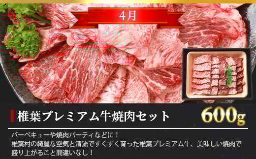 【定期便3回】総重量1.8kg 椎葉プレミアム牛 大自然の中で味わうBBQ定期便≪焼き肉・ステーキ≫［宮崎県 椎葉村 国産 国産牛 黒毛和牛 和牛 牛 牛肉 赤身 にく おにく 肉 お肉 サーロイン ステーキ バーベキュー やきにく 焼肉 冷凍 ごちそう 贈物 日本三大秘境］【TK-60】