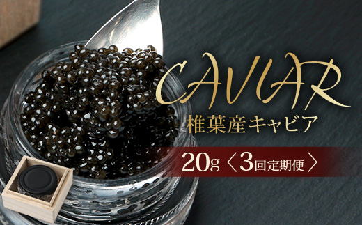 〈3回定期便〉【桐箱入り】 国産 キャビア 20g × 3回配送 計60g【世界三大珍味×日本三大秘境】［宮崎 椎葉 国産 ちょうざめ チョウザメ きゃびあ キャビア 魚卵 卵 定期便 定期 60g 3回配送 クリーミー お酒 魚介 珍味 加工品 冷凍 高級 贅沢 グルメ ディナー パーティー おつまみ ギフト 記念日 誕生日 プレゼント お祝い 贈答 贈答品 希少］SZ-103_3teiki
