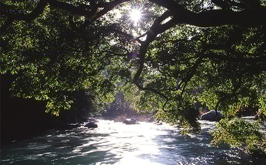 縲仙郁。悟女莉假シ壻サ、蜥8蟷エ迚医代先、手痩縺ァ縺ョ貂捺オ驥」繧翫r讌ス縺励縲鷹♀貍∬ィア蜿ッ險シ(蟷エ蛻ク) 閠ウ蟾晄ーエ邉サ縲宣」繧雁・ス縺榊ソ隕九代触K-1縲措騾∵侭辟。譁 螳ョ蟠守恁 螳ョ蟠 讀手痩譚 讀手痩 驕頑シ∝虻 驕頑シ∬ィア蜿ッ險シ 險ア蜿ッ險シ 驥」繧 驥」 豐ウ 蟾 驕頑シ 蛻ク 蟷エ蛻ク 閠ウ蟾晄ーエ邉サ 蟾晞ュ 繝、繝槭Γ 繝、繝槭Γ驥」繧 閠ウ蟾晄ーエ 菴馴ィ転
