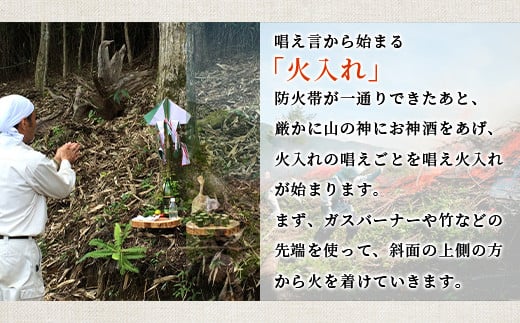 焼畑農家がつくった あずきもち 10個【日本三大秘境の地「椎葉村」からお届け】送料無料 宮崎県 宮崎 椎葉村 椎葉 餅 あずきもち 小豆 小豆もち 小豆餅 あずき餅 あずき アズキ もち モチ セット 焼き餅 焼餅 正月 お祝い 祝い 美味しい うまい やきもち もち米 焼きもち【YS-46】