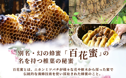 【秘境を味わう】【7営業日以内発送】椎葉の秘蜜 【150g×2本】国産天然はちみつ【数量限定】送料無料 宮崎県 椎葉村 秘境 蜂蜜 はちみつ ハチミツ みつばち ミツバチ 伝統的 養蜂 国産 天然 百花蜜 巣箱 数量限定 季節 希少 150g 300g【MS-08】