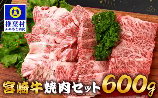 宮崎牛 焼肉セット 600g TK-97 [宮崎県 椎葉村 宮崎牛 和牛 黒毛和牛 牛肉 ぎゅうにく 牛 うし ぎゅう 肉 お肉 にく おにく 焼き肉 焼肉 やきにく 精肉 もも モモ肉 バラ バラ肉 600g 人気 おすすめ 送料無料]