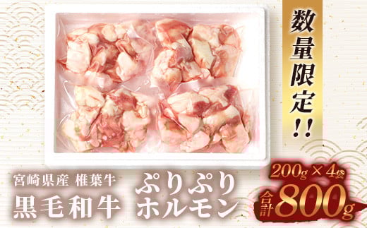 宮崎県産 椎葉牛 ぷりぷりホルモン（小腸）もつ鍋・焼肉用 200g×4P（800g）［宮崎 椎葉 国産 国産牛 ほるもん ホルモン 牛モツ もつ モツ もつなべ もつ鍋 モツ鍋 コラーゲン ホルモン単品 おつまみ つまみ やきにく 焼肉 BBQ バーベキュー アウトドア キャンプ 冷凍 贈物 ギフト お中元 お歳暮 日本三大秘境］【TK-82】