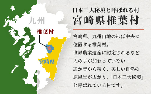 【返礼品なしの寄附】宮崎県椎葉村（1口：10,000円）