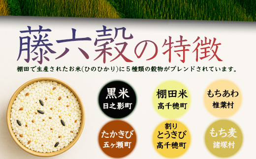 【6回定期便】【雑穀米】藤の花色に染まる美しい六穀米《藤六穀》300g×2袋 6回配送【世界農業遺産 高千穂郷・椎葉山地域】送料無料 定期便 定期 保存食 非常食 米 お米 ご飯 ご当地 贈り物 手土産 お土産 挨拶 祝い ギフト 父 母 栄養 健康 うるち米 たかきび 挽割とうもろこし もちあわ もち麦 黒米【TT-15】