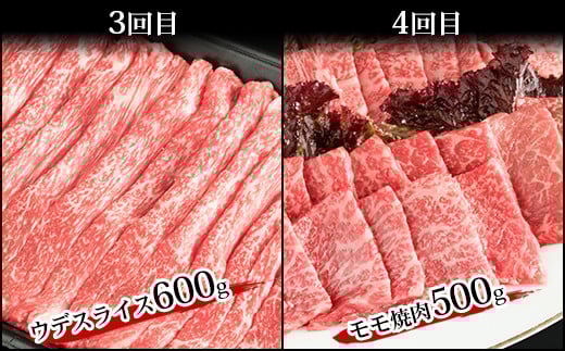 【定期便 6回】受賞歴多数!! 宮崎牛を6ヶ月で合計3.25キロ 宮崎牛づくし【送料無料 宮崎県 椎葉村 秘境 国産 宮崎県産 ブランド牛 牛肉 牛 和牛 肉 肩ロース ばら うで もも すき焼き 焼肉 焼き肉 BBQ アウトドア キャンプ 牛丼 うまい 美味しい おすすめ おかず 多用途 ギフト 贈り物 プレゼント 祝い パーティー 誕生日 記念日 お土産 敬老 お中元 お歳暮】【MT-38】