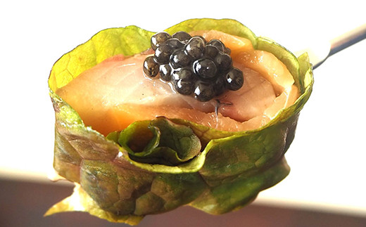 【桐箱入り】HEIKE CAVIAR 10ｇ フレッシュキャビア【世界三大珍味×日本三大秘境】［宮崎 椎葉 国産 ちょうざめ チョウザメ きゃびあ キャビア 10g 魚卵 卵 お酒 魚介 珍味 加工品 冷凍 高級 贅沢 グルメ ディナー パーティー おつまみ ギフト 記念日 誕生日 プレゼント お祝い 贈り物 贈答 贈答品 桐箱 希少］【SZ-102】