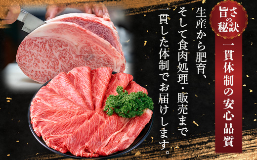 【定期便 3回】受賞歴多数!! 宮崎牛を3ヶ月で合計1.85キロ 宮崎牛づくし [送料無料 宮崎県 椎葉村 秘境 国産 宮崎県産 ブランド牛 牛肉 牛 和牛 肉 肩ロース ばら うで もも すき焼き しゃぶしゃぶ 牛丼 うまい 美味しい おすすめ おかず 多用途 ギフト 贈り物 プレゼント 祝い 内祝い パーティー 誕生日 記念日 お土産 父 母 敬老 お中元 お歳暮]【MT-37】